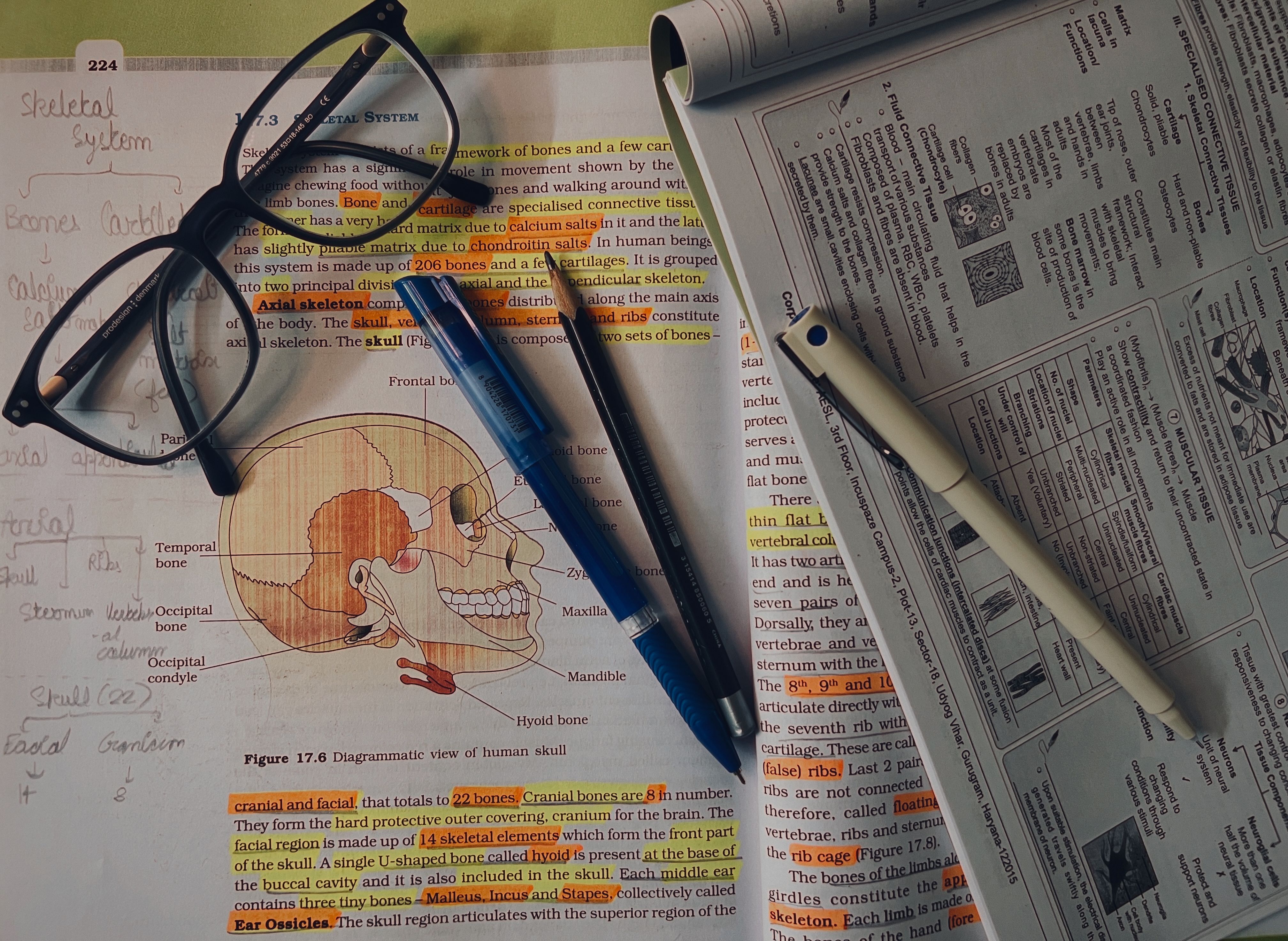 Why Go and Revise So Often Ends in an Argument